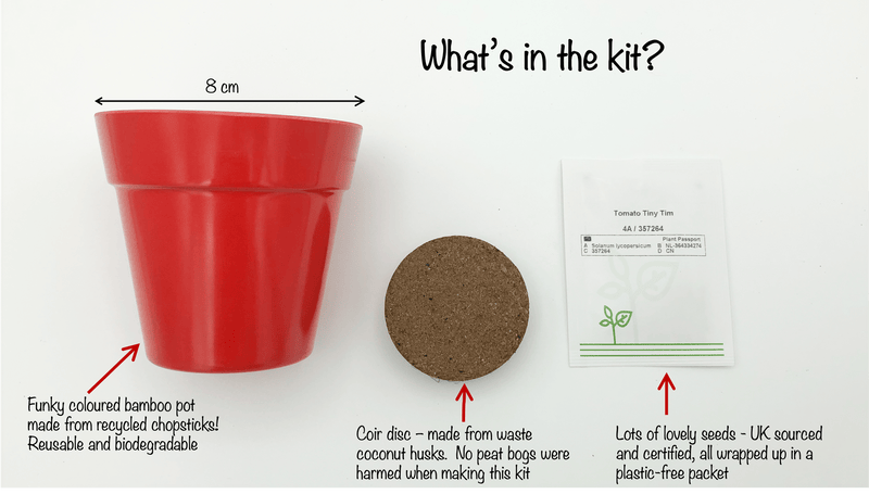 Gardening for Kids Cherry Tomato Growing Kit with Pot