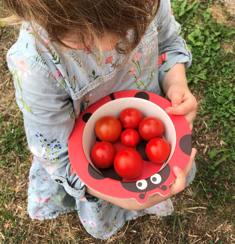 Gardening for Kids Cherry Tomato Growing Kit with Pot