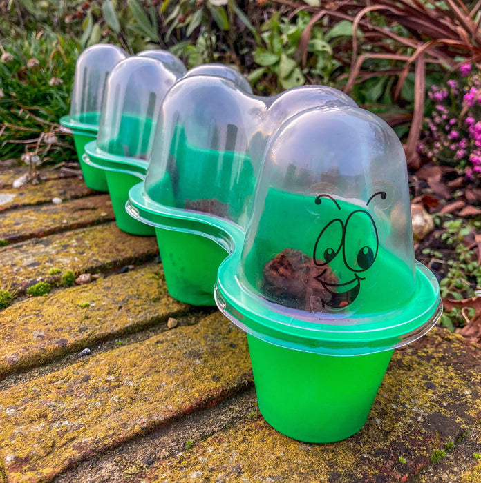 Mr Fothergill's Children's Caterpillar Greenhouse Kit