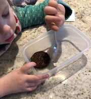 Gardening for Kids Children's Grow Your Own Peas Growing Kit with Pot