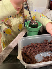 Gardening for Kids Children's Grow Your Own Peas Growing Kit with Pot