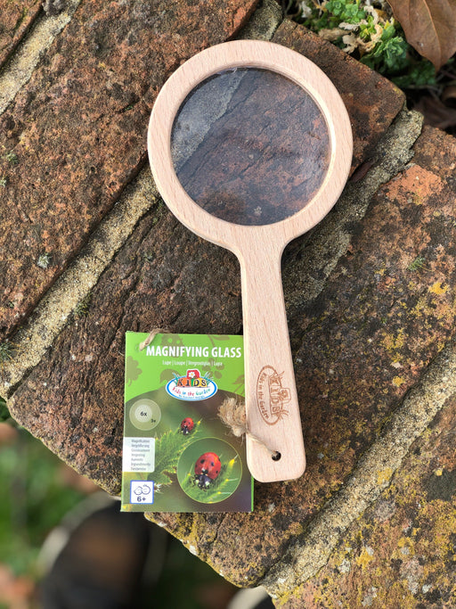 Fallen Fruits Children's Wooden Magnifying Glass