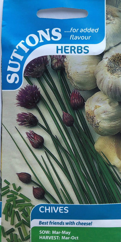 Suttons Chives Seeds