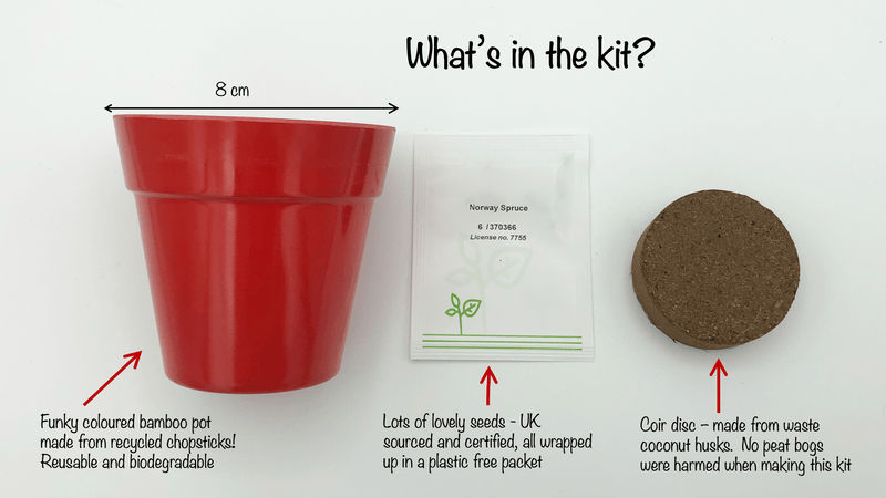 Gardening for Kids Christmas Tree Growing Kit with Pot