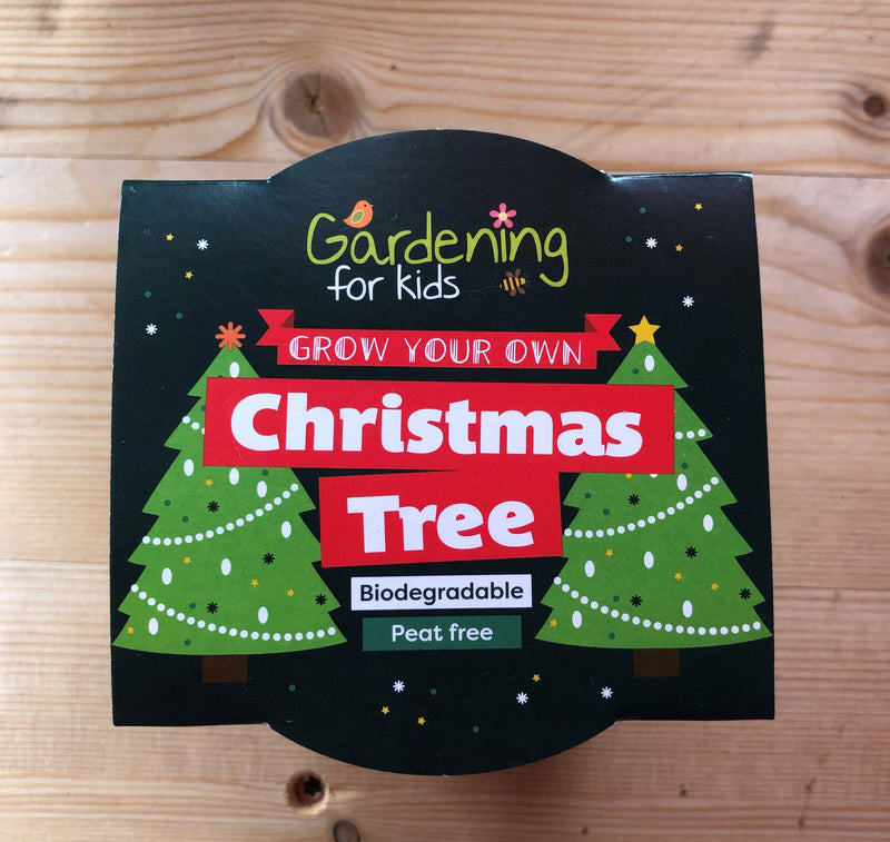 Gardening for Kids Christmas Tree Growing Kit with Pot