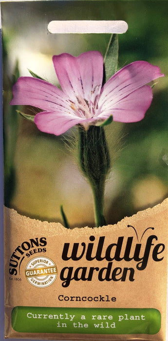 Illustrated Book of Wild Flowers