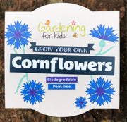 Gardening for Kids Cornflower Wildflower Growing Kit with Pot