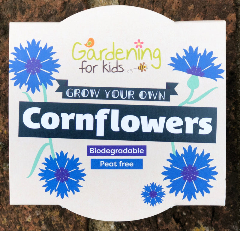 Gardening for Kids Cornflower Wildflower Growing Kit with Pot