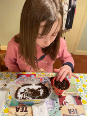 Gardening for Kids Cornflower Wildflower Growing Kit with Pot