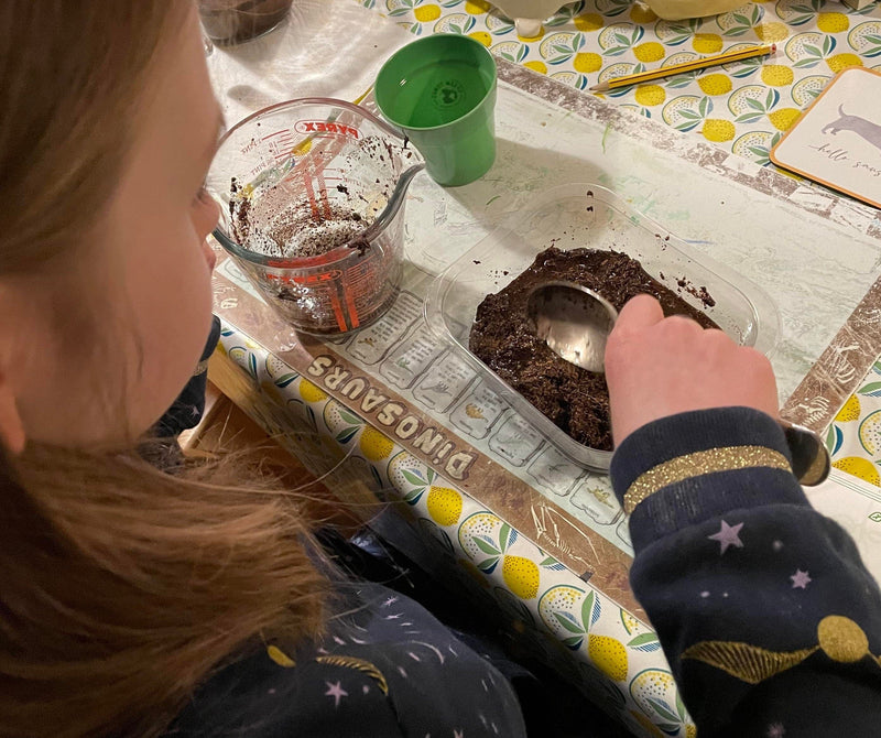 Gardening for Kids Cucumber Growing Kit with Pot