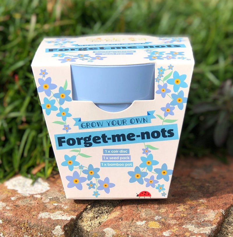 Gardening for Kids Forget-Me-Not Growing Kit with Pot