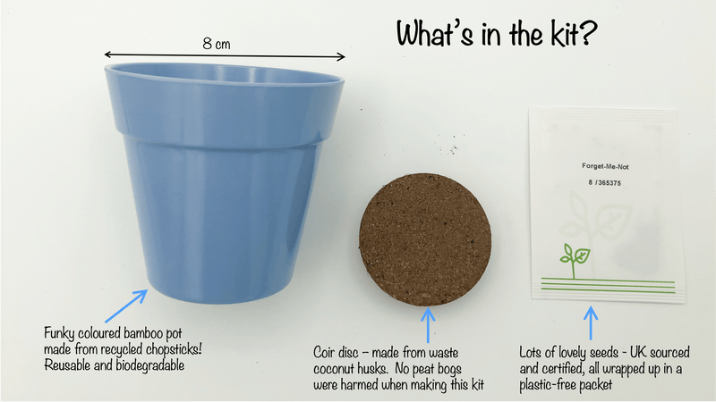 Gardening for Kids Forget-Me-Not Growing Kit with Pot