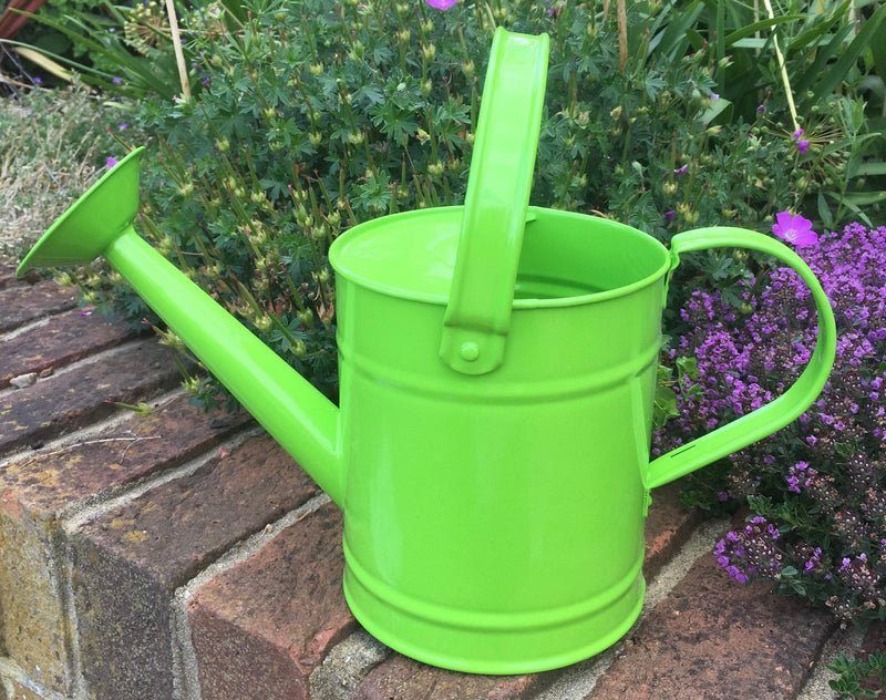 Fallen Fruits Green Kids Watering Can