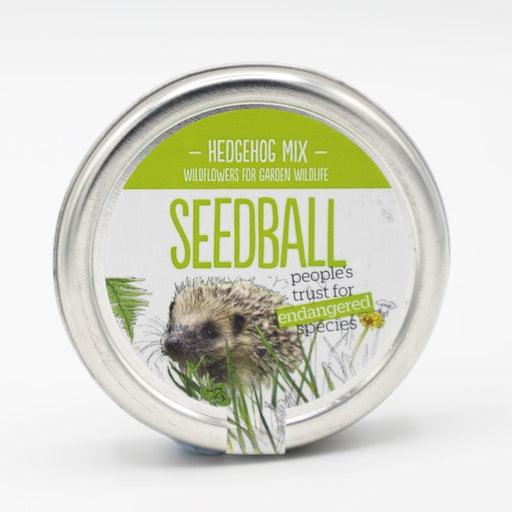 Seedball Hedgehog Mix Seedballs