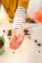 Gardening for Kids Herb Garden Growing Kit