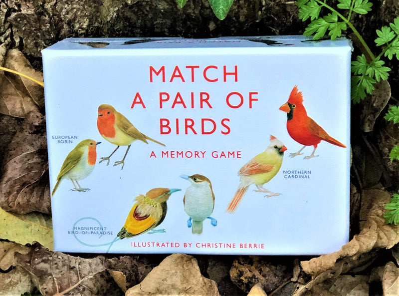 Hachette Match a Pair of Birds
