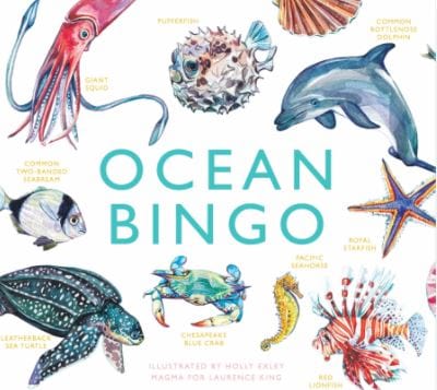 Hachette Ocean Bingo