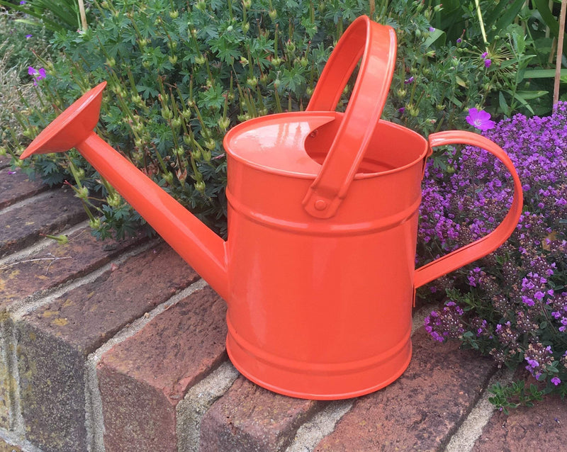 Fallen Fruits Orange Kids Watering Can