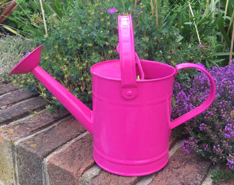 Fallen Fruits Pink Kids Watering Can