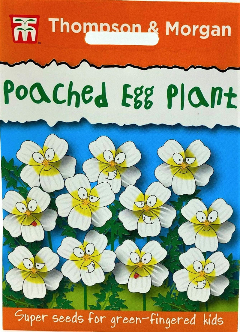 poached egg plant seeds Poached Egg Plant Seeds — Gardening for Kids