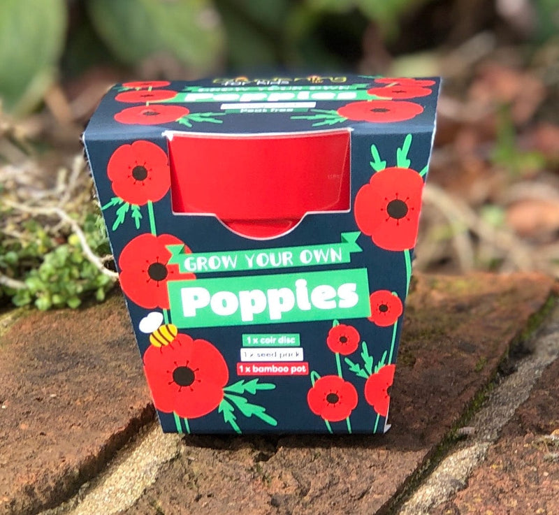 Gardening for Kids Poppies Wildflower Growing Kit with Pot