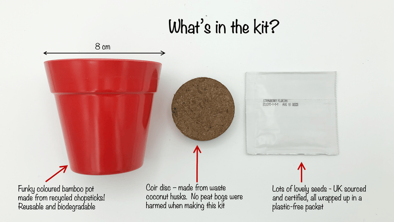 Gardening for Kids Poppies Wildflower Growing Kit with Pot