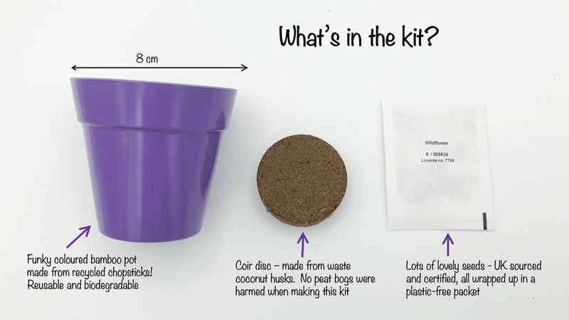 Gardening for Kids Purple Wildflower Growing Kit with Pot