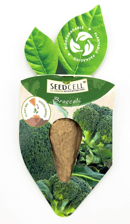 Grow Sow Simple - Seedcell Broccoli