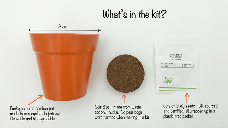 Gardening for Kids Sweet Peppers Growing Kit with Pot