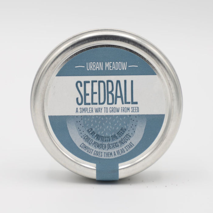 Seedball Urban Meadow Seedballs