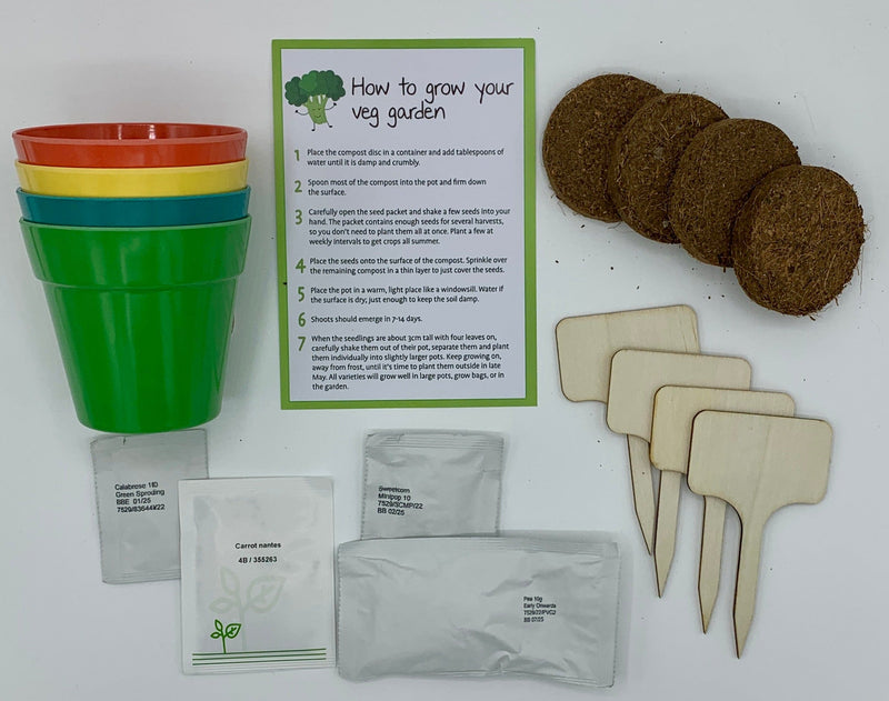 Gardening for Kids Vegetable Garden Growing Kit