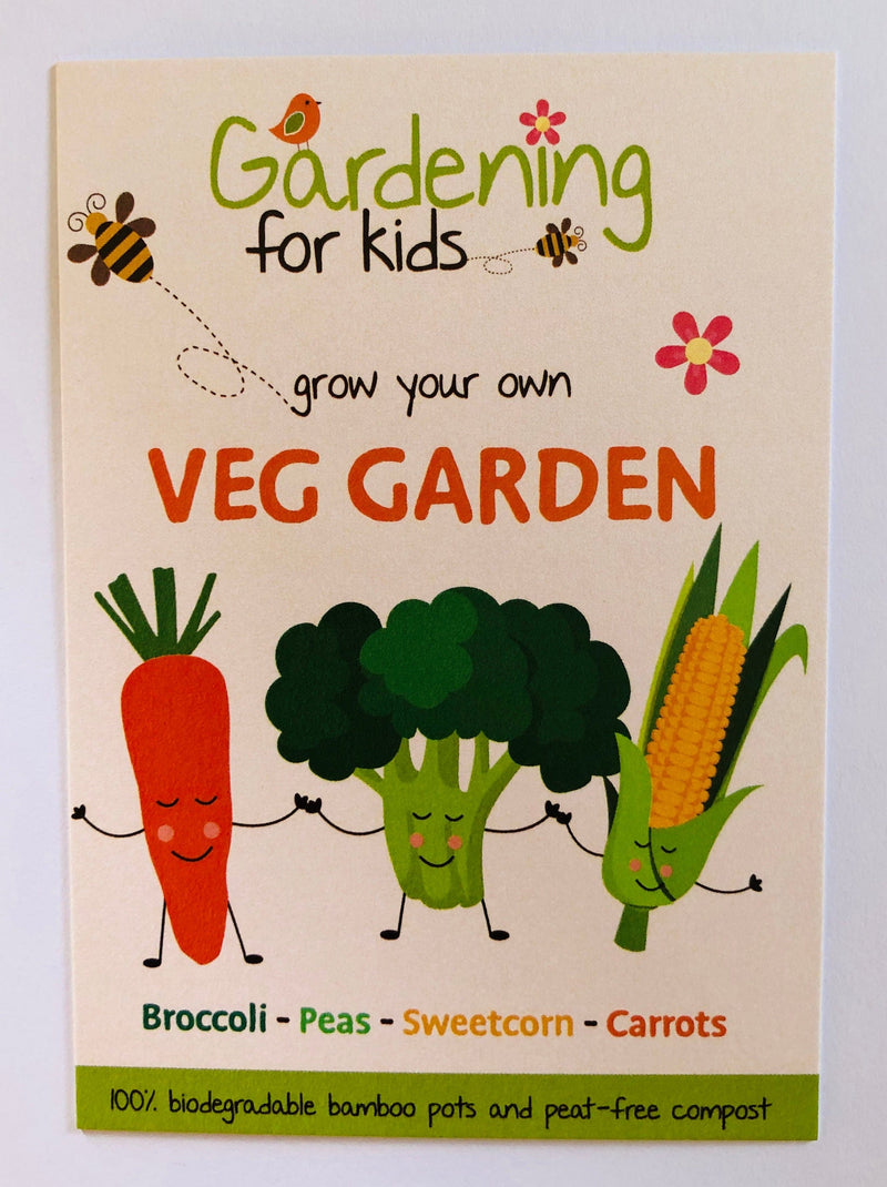 Gardening for Kids Vegetable Garden Growing Kit