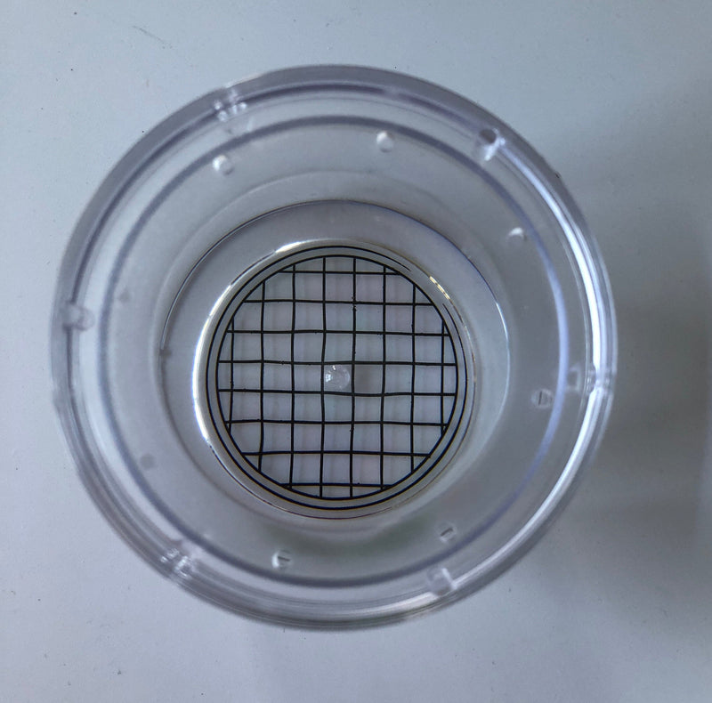 Robert Frederick Very Hungry Caterpillar Magnifying Bug Viewer