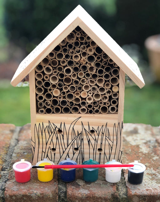 Robert Frederick Very Hungry Caterpillar Paint Your Own Bug Hotel