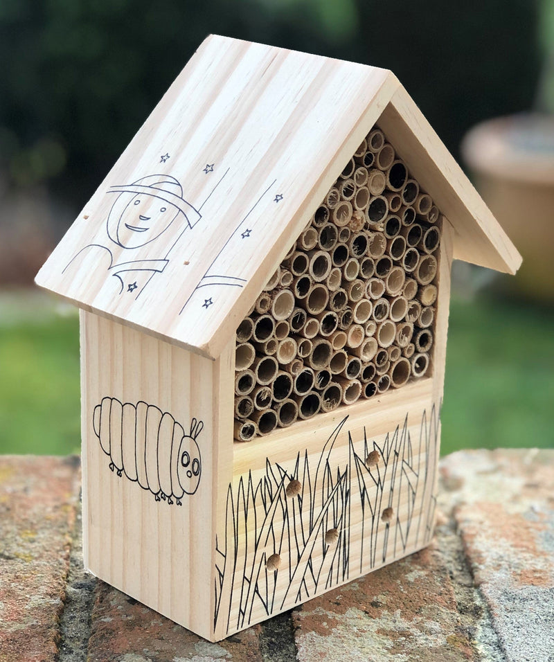 Robert Frederick Very Hungry Caterpillar Paint Your Own Bug Hotel