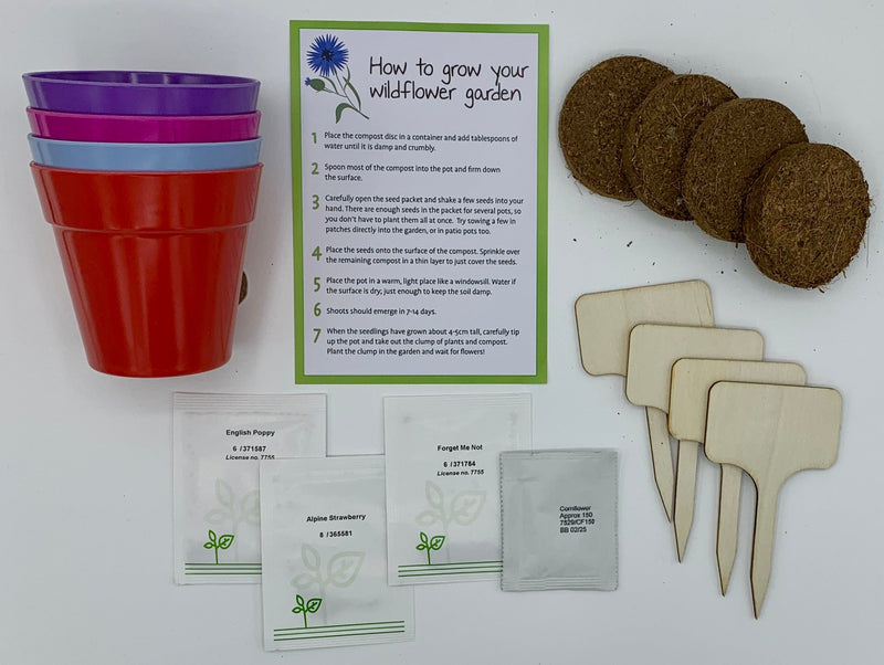Gardening for Kids Wildflower Garden Growing Kit