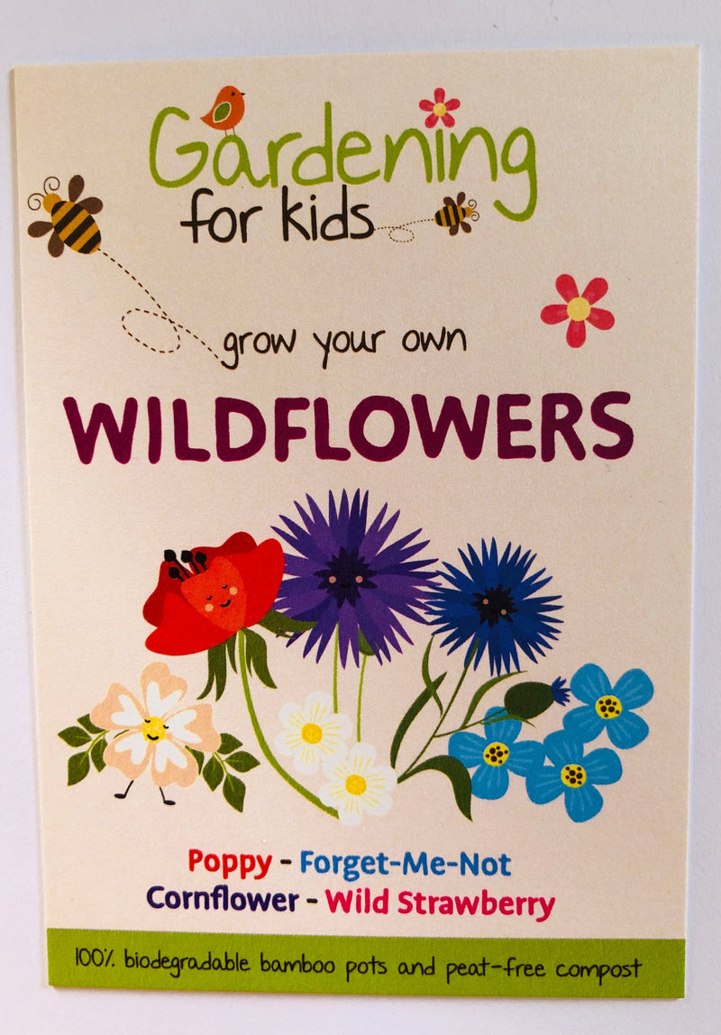 Gardening for Kids Wildflower Garden Growing Kit