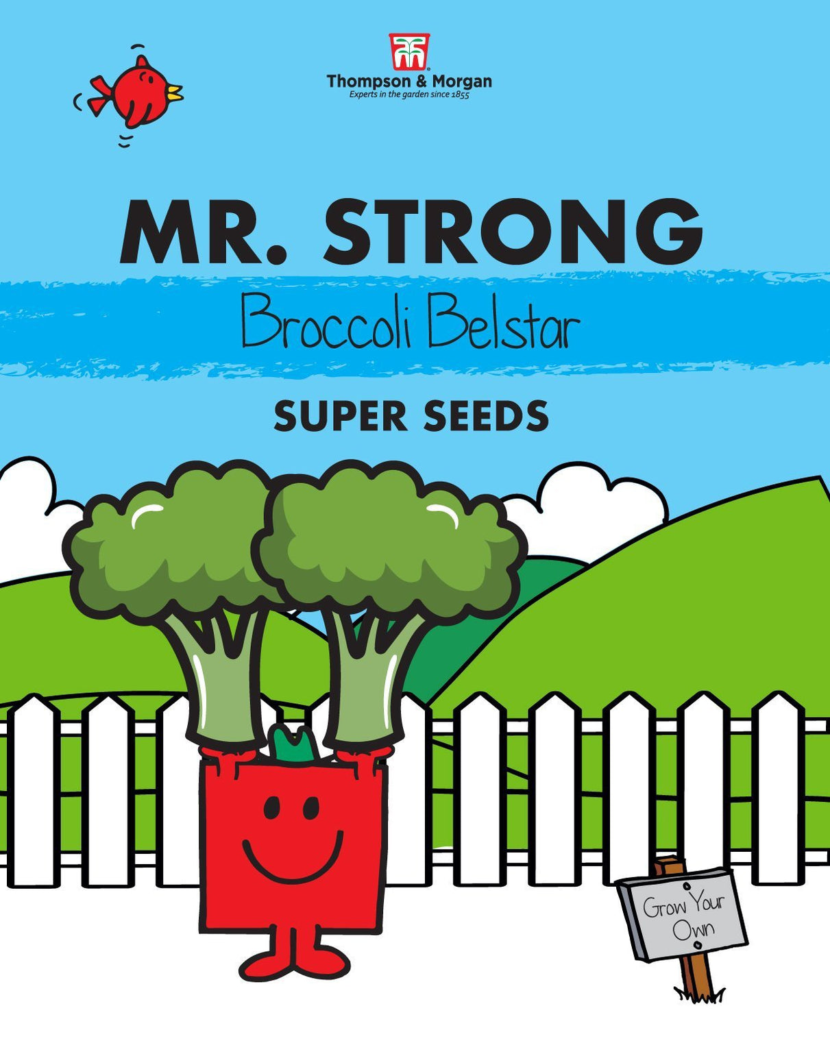 Mr Strong Children's Broccoli Seeds — Gardening for Kids